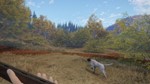 **theHunter: Call of the Wild- German Shorthaired Point