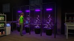 **Schedule I | АВТОДОСТАВКА [Россия - Steam Gift]