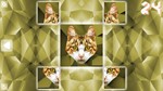 Poly Puzzle: Cats (Steam key/Region free)