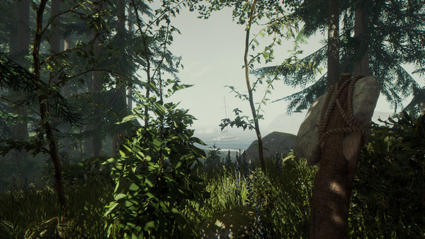 Скриншот 🔶 The Forest  (STEAM GIFT RU)+BONUS