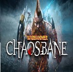 Warhammer: Chaosbane (Steam key / RU+CIS)