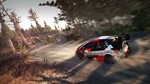 WRC 8 FIA World Rally Championship (Steam key / Мир)
