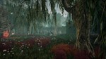 Nephise: Ascension (Steam key / Region Free)