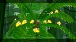 Beasts of Maravilla Island (Steam key / РФ+Весь Мир)