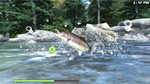Reel Fishing: Road Trip Adventure (Steam key / Global)
