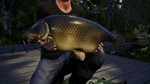 Euro Fishing: Waldsee DLC (Steam key / Region Free)