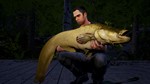 Euro Fishing: Waldsee DLC (Steam key / Region Free)