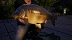 Euro Fishing: Waldsee DLC (Steam key / Region Free)