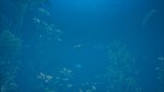 Bassmaster Fishing 2022: Lake Hartwell Steam key/Global