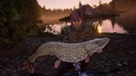 The Catch: Carp & Coarse - Jezioro Bestii Steam/Global