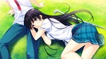 If My Heart Had Wings -Flight Diary- Steam key / Global