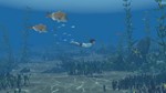 Storm Boy (Steam key / Region Free)