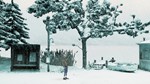 Truberbrook (Steam key / РФ+Весь Мир)