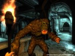 The Elder Scrolls IV: Oblivion* GOTY Steam key / Global