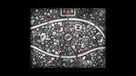 Frail Hearts: Versicorae Domlion (Steam key / Global)