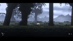 Nocturnal (Steam key / РФ+Весь Мир)