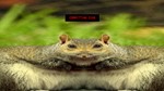 Squirrel Stapler (Steam key / РФ+Весь Мир)