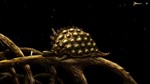 Samorost 3 Cosmic Edition (Steam key / РФ+Весь Мир)