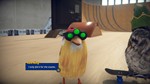 SkateBIRD (Steam key / РФ+Весь Мир)