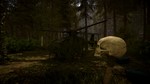 💀Sons Of The Forest {Steam Gift/Россия/СНГ/Турция}