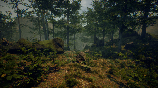 Folklore Hunter | Steam | Region Free