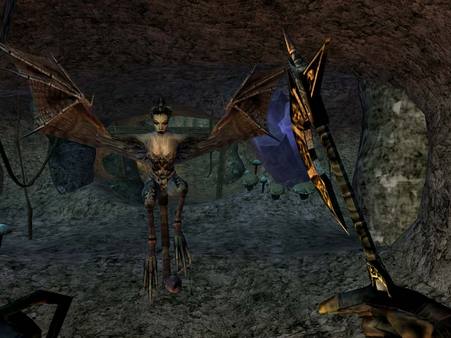 Скриншот The Elder Scrolls III: Morrowind Game of the Year Edit