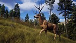 Way of the Hunter Elite Edition | Steam | Region Free