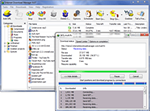 IDM Lifetime- Internet Download Manager 1 User Lifetime - irongamers.ru