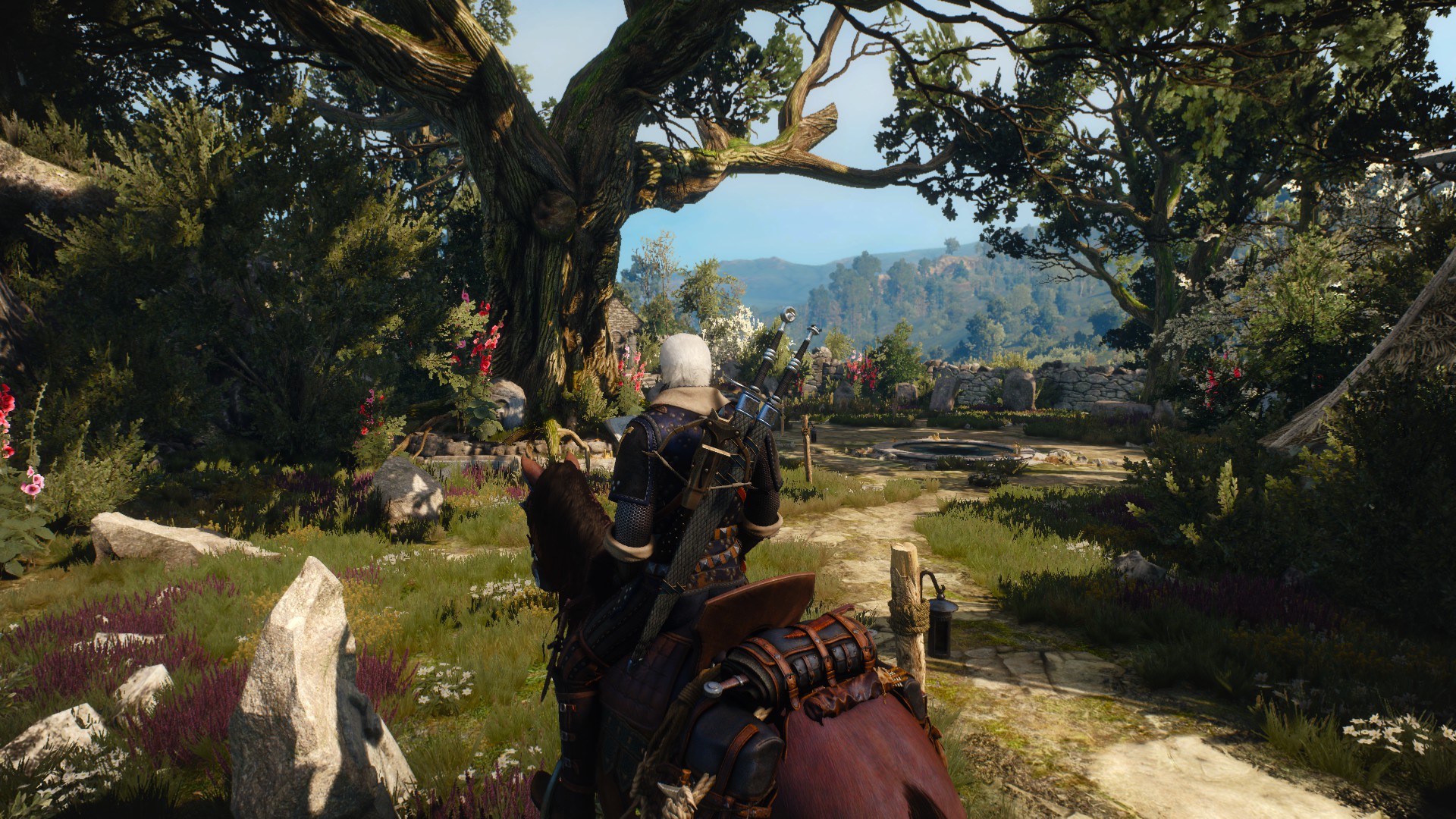 The witcher 3 goty что это фото 94