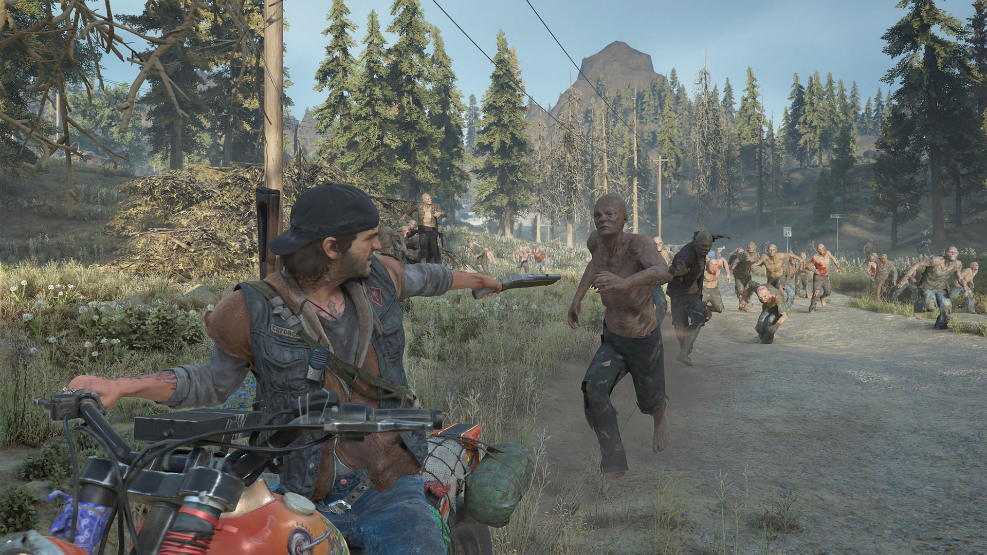 Days gone 100