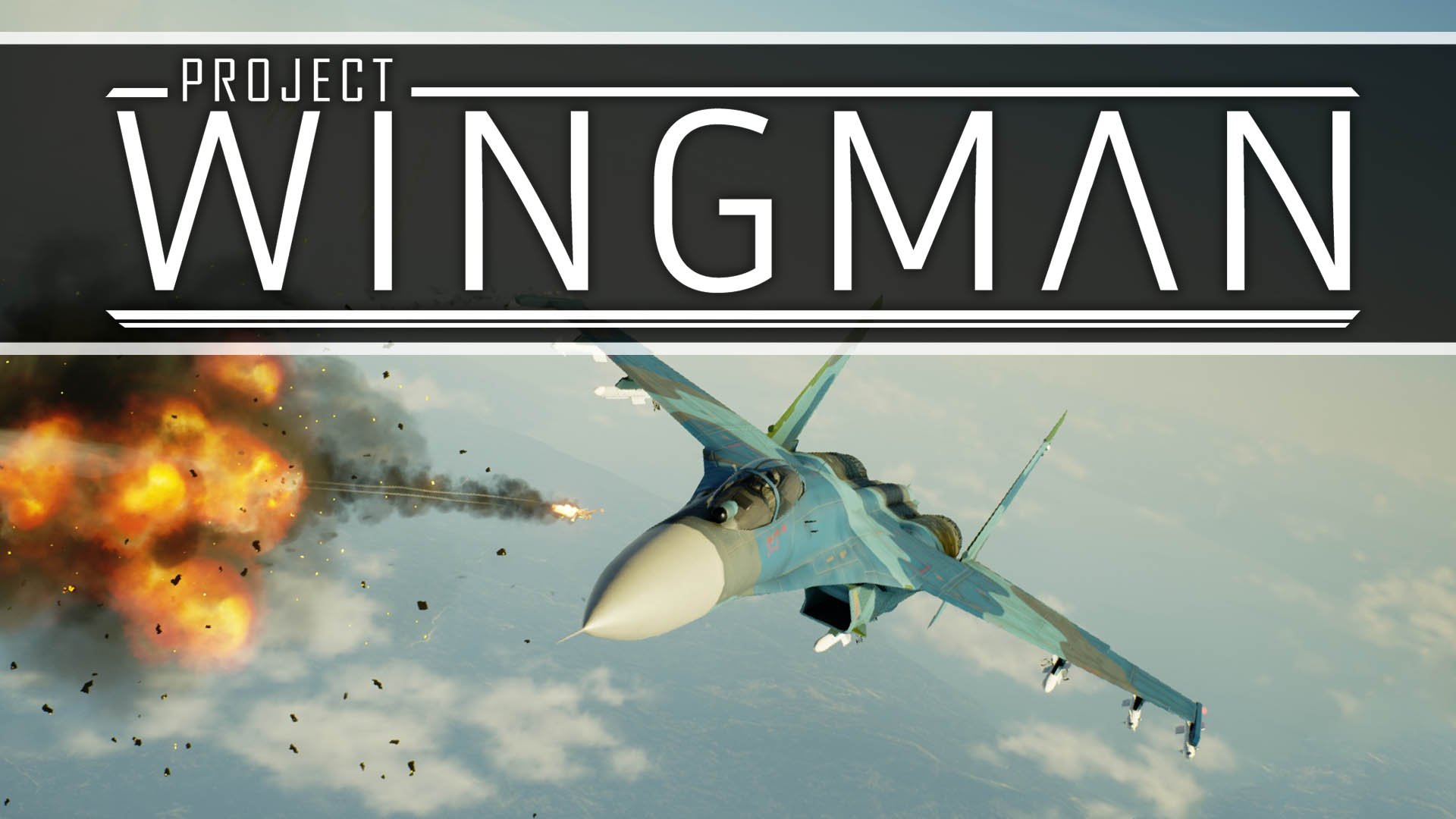 Project Wingman [Steam аккаунт] 🌍Region Free