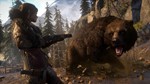 Rise of the Tomb Raider: 20 Year (Steam) Аккаунт