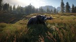 theHunter: Call of the Wild [STEAM] Активация