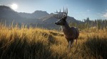 theHunter: Call of the Wild [STEAM] Активация