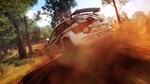 DiRT Rally 2.0 Game of the Year Edition (STEAM) Аккаунт