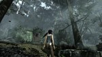 Tomb Raider GOTY [RU] [STEAM] Активация