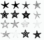 Starfish svg,cut files,silhouette clipart,vinyl files,v