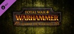TOTAL WAR: WARHAMMER REALM OF THE WOOD ELVES (STEAM/RU) - irongamers.ru