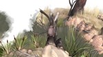 *Paperbark *Steam\РФ+Весь Мир\Key* + Бонус