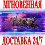 *Trine Enchanted Edition *Steam\РФ+Весь Мир\Key* +Бонус
