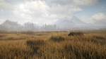 theHunter: Call of the Wild + 9 DLC Steam Ключ РФ+Мир