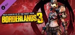 Borderlands 3 Season Pass Bundle (1 + 2) Steam Ключ