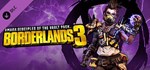 Borderlands 3 Season Pass Bundle (1 + 2) Steam Ключ