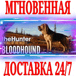 *theHunter: Call of the Wild Bloodhound *Steam\Key* +*