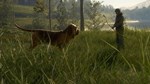 *theHunter: Call of the Wild Bloodhound *Steam\Key* +*