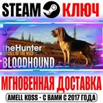 theHunter Call of the Wild Bloodhound Steam Ключ РФ+Мир