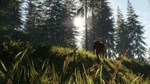 *theHunter: Call of the Wild Bloodhound *Steam\Key* +*