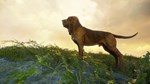 *theHunter: Call of the Wild Bloodhound *Steam\Key* +*