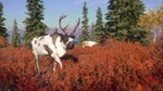 *theHunter Call of the Wild Yukon Valley*Steam\Key* +*