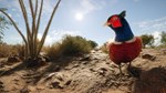 *theHunter Call of the Wild Rancho del Arroyo*Steam\Key
